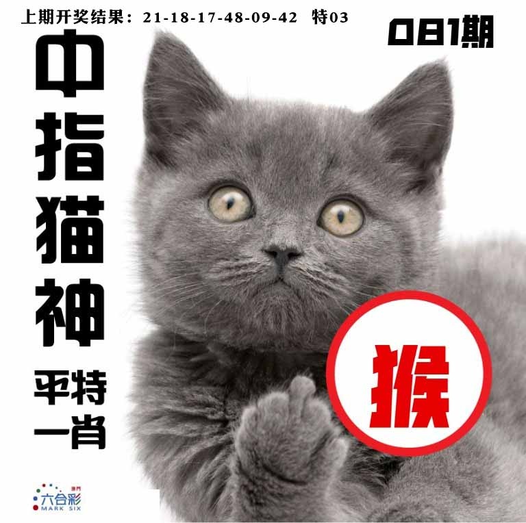 081期中指猫神[图]