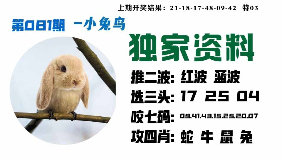 081期小兔鸟[图]